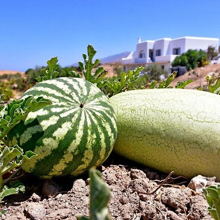 Relaxia Estate Naxos Lägenhet Galini  Exteriör bild